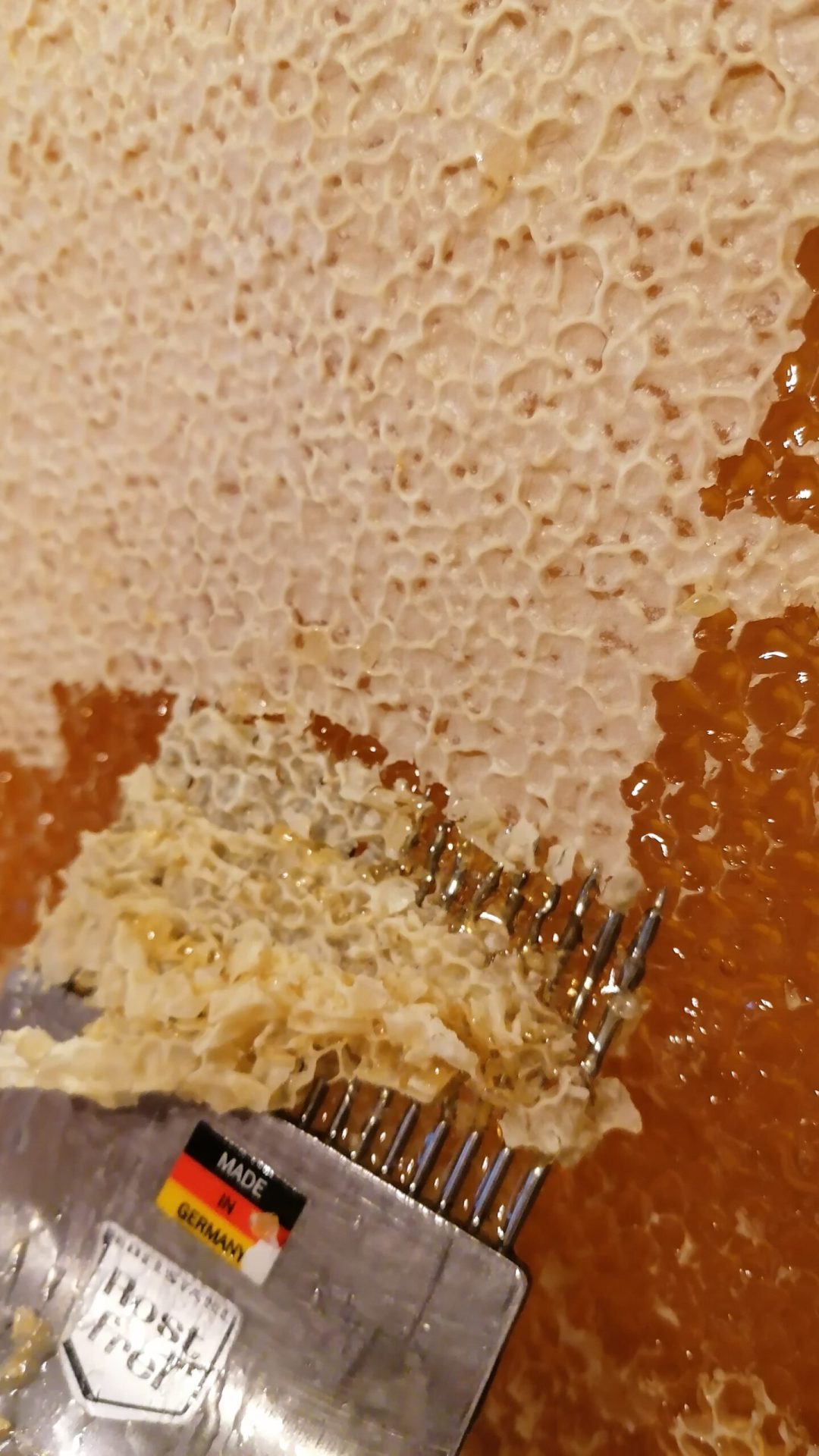 Entdeckeln der Waben