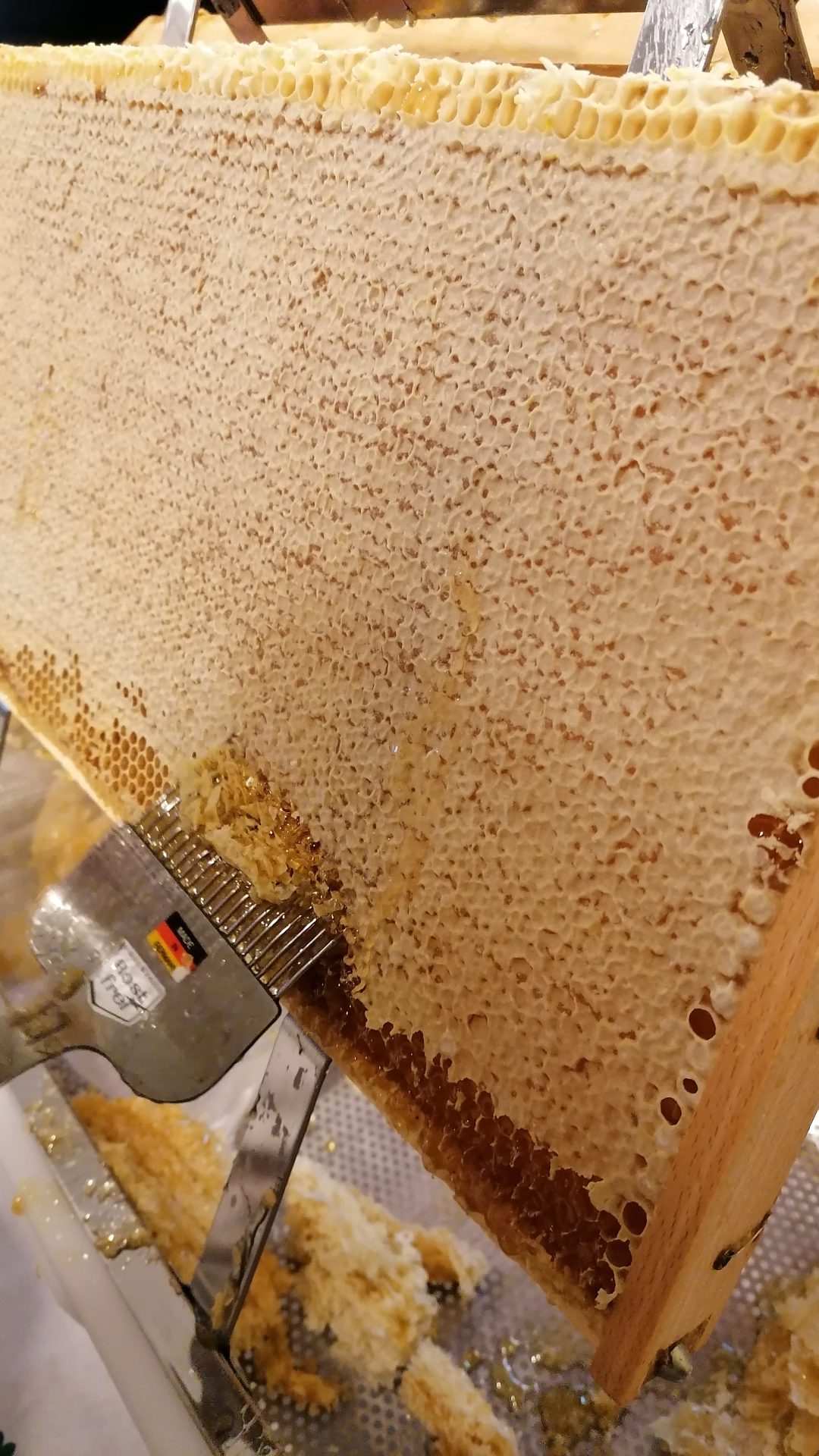 Entdeckeln der Waben